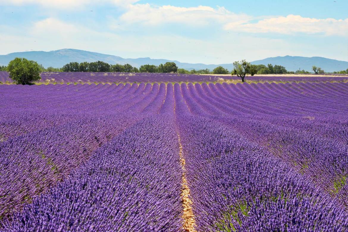 Gite Le Petit Vallon Allemagne en Provence Bagian luar foto